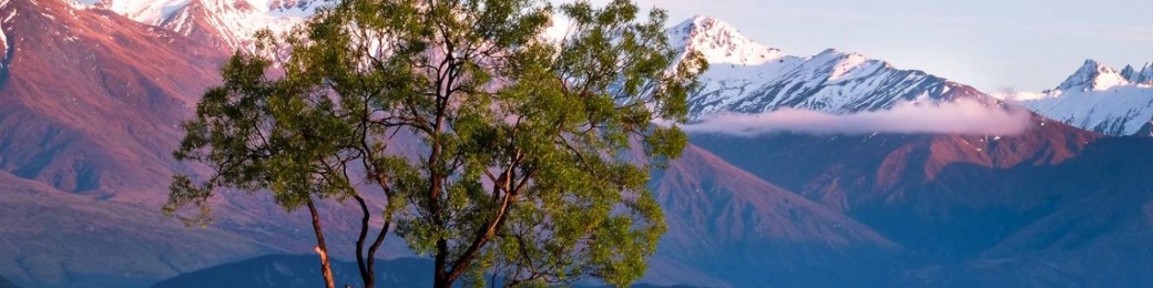 Aotearoa