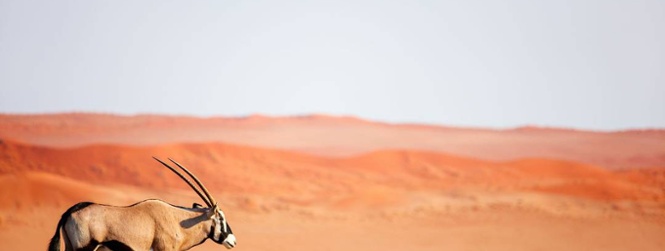 Het juweel van Afrika